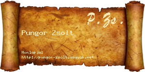 Pungor Zsolt névjegykártya