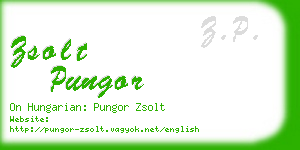 zsolt pungor business card